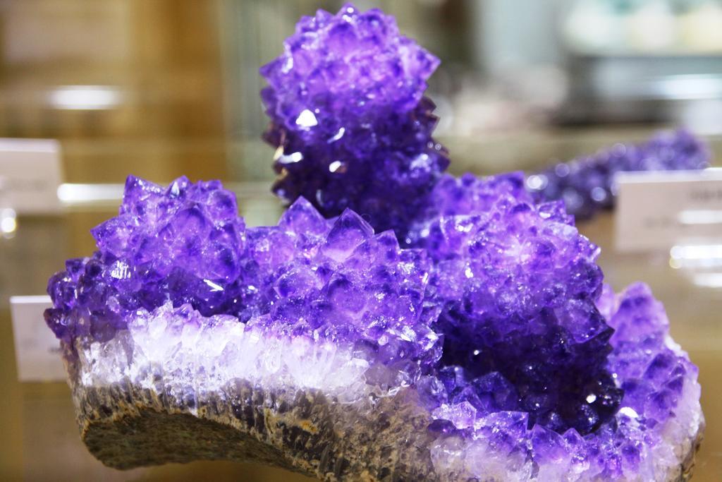 Frauenberg Fewo Purper מראה חיצוני תמונה